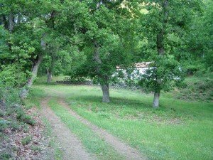 DSCF1246 (1)
